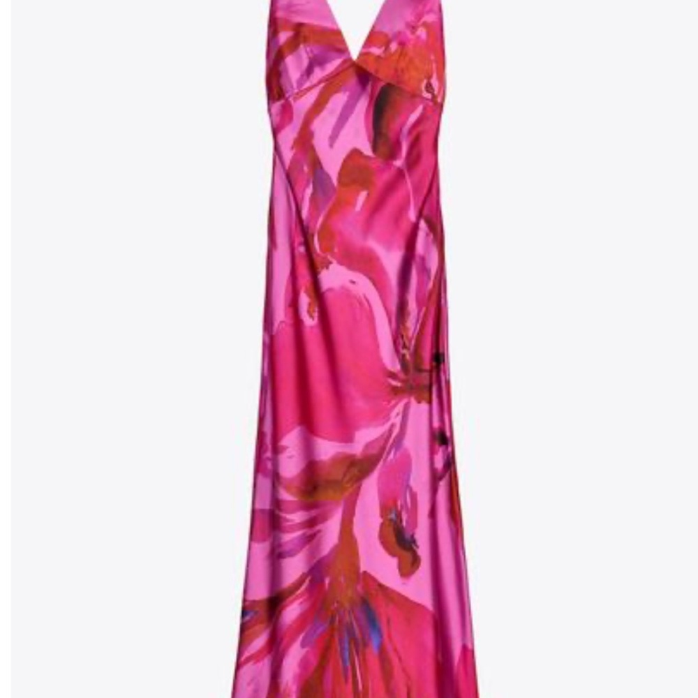 Zara Pink Maxi Dress
